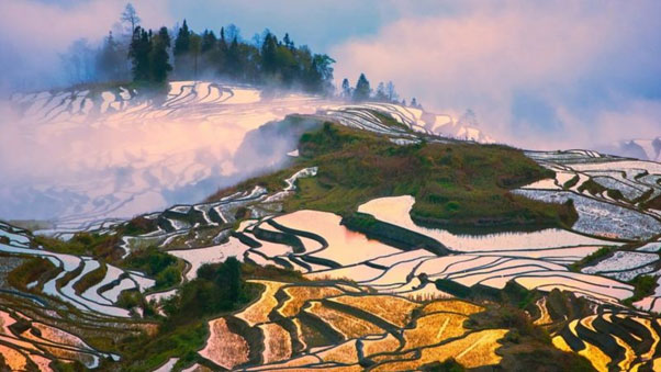 Ruộng bậc thang Nguyên Dương - Khung cảnh tuyệt mỹ tại Vân Nam