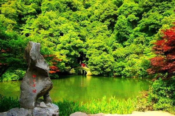 Hành trình khám phá Cây Khói Cửu Hi bắt đầu từ đỉnh Sư Tử Long Tỉnh