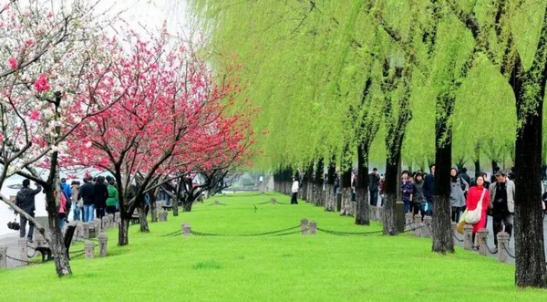 Đê Bạch Hàng Châu – Con đường ven hồ thơ mộng giữa lòng Tây Hồ