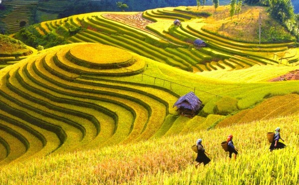 Mường Than với vẻ đẹp biến chuyển theo từng mùa