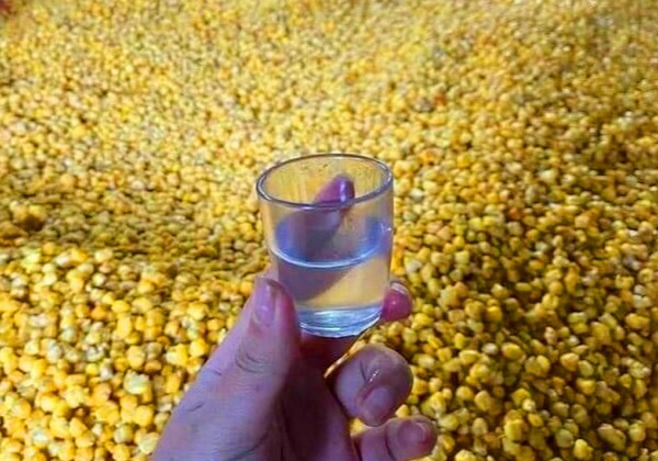 Rượu ngô Na Hang chinh phục vị giác bởi hương thơm nồng ấm, đặc trưng