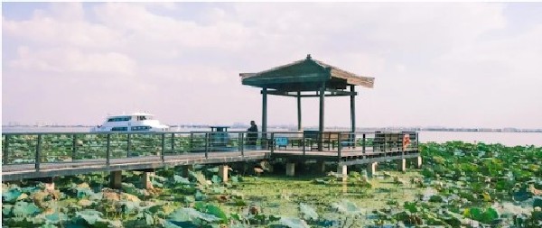 Đảo Sen giữa lòng hồ Dương Trừng là một điểm đến tuyệt vời