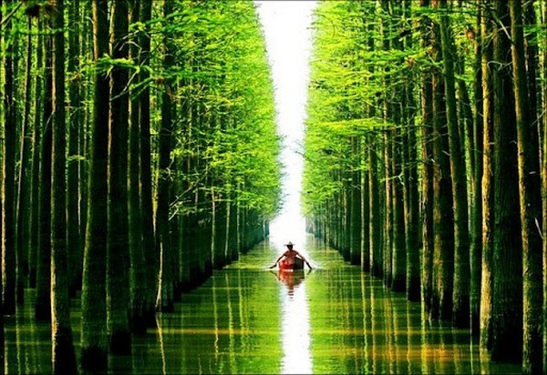 Hồ Thủy Sinh Thanh Sơn được mệnh danh là một trong mười thắng cảnh mới của Lâm An