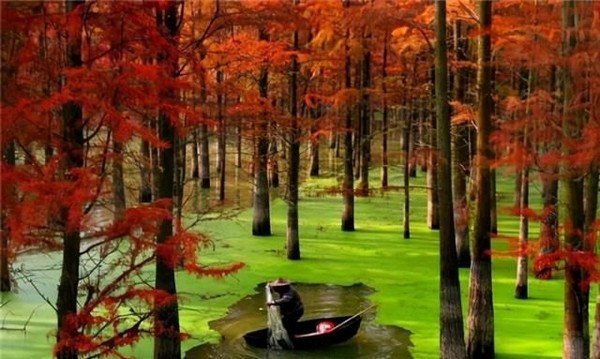 Hồ Thủy Sinh Thanh Sơn gây ấn tượng với du khách ngay từ cái nhìn đầu tiên