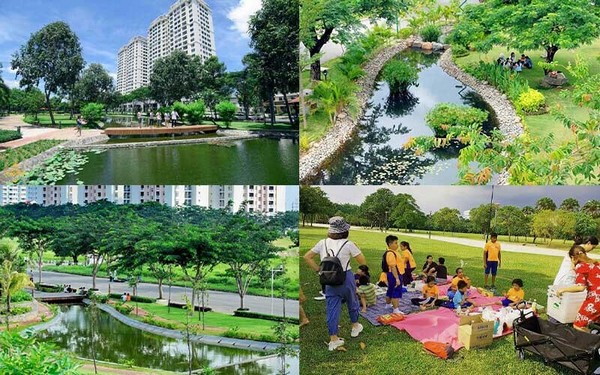 Những hoạt động giải trí thú vị