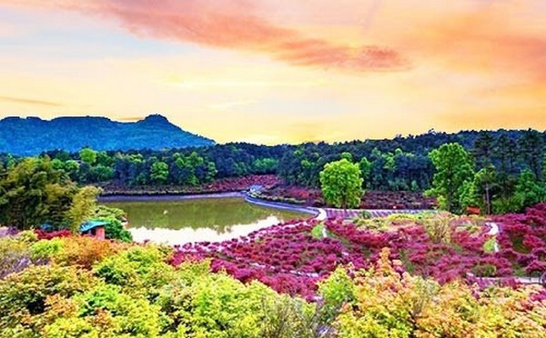 Khu thắng cảnh Trung Sơn là một trong những điểm đến nổi bật ở Nam Kinh