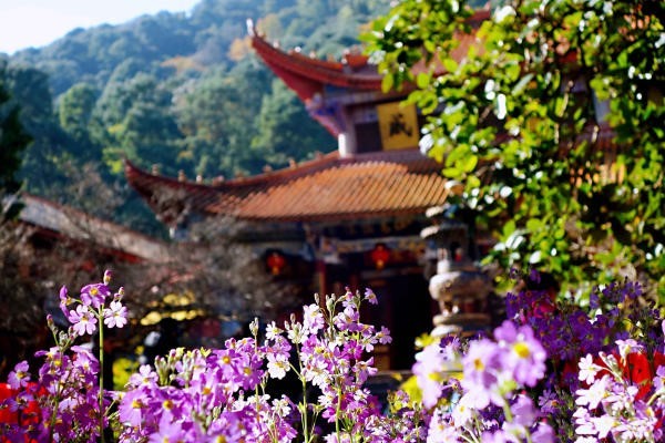Khu thắng cảnh Tây Sơn được bao phủ gần như toàn bộ bởi thảm rừng thứ sinh tươi tốt