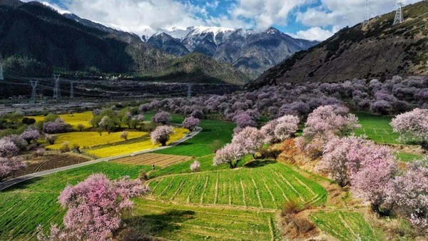 Chính quyền địa phương đã đầu tư mạnh mẽ vào cơ sở hạ tầng