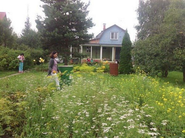 Dacha còn đóng vai trò quan trọng trong việc gắn kết cộng đồng