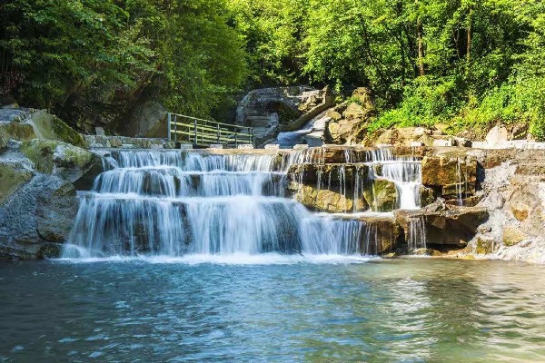 Hệ Sinh Thái Phong Phú và Đa Dạng