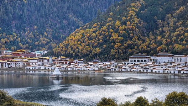 Rừng Lulang tọa lạc cách thị trấn Bayi khoảng 80 km về phía Đông