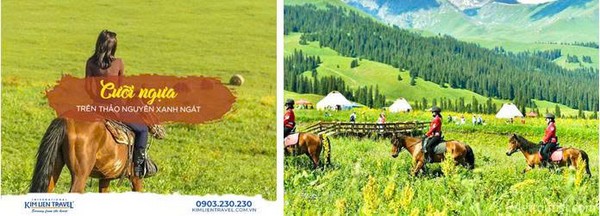 Tặng trải nghiệm cưỡi ngựa trên thảo nguyên Nalati