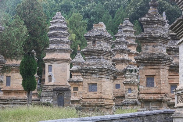 Nhiều hoạt động và trải nghiệm thú vị tại Tháp Lâm