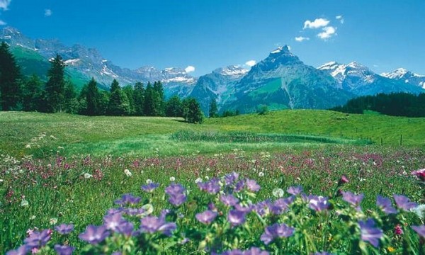 Engelberg có vị trí địa lý vô cùng thuận lợi, chỉ cách Zurich khoảng 90 km