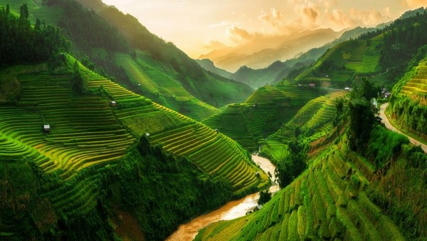 Tour 5N4Đ Săn Lúa Mù Cang Chải - Sapa - Điện Biên - Mộc Châu | Quốc Khánh 2/9