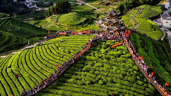 Khu du lịch văn hóa trà Cống Wujiatai là một trong những điểm đến mang tính biểu tượng