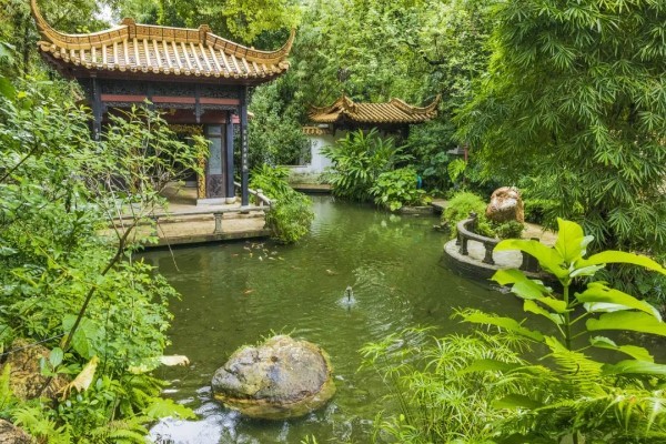 Vườn Lan Quảng Châu là một thiên đường thực sự