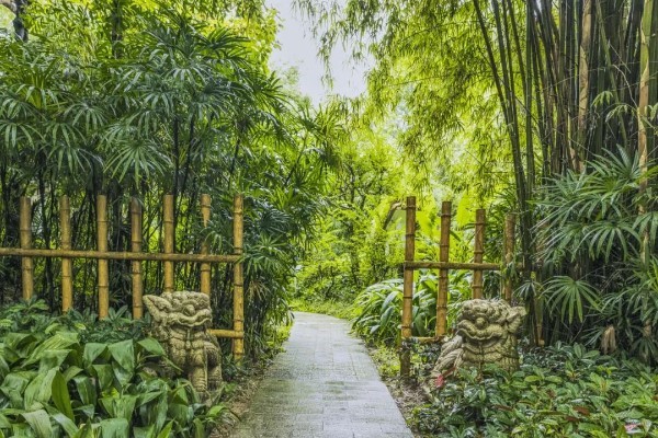 Vườn Lan Quảng Châu khởi đầu là một vườn thực vật nhỏ