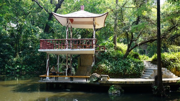 Vườn Lan Quảng Châu là ngôi nhà của hơn 200 giống hoa lan khác nhau
