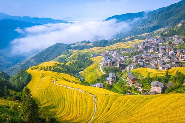 Đắm say trước vẻ đẹp có 1-0-2 của ruộng bậc thang Long Tích