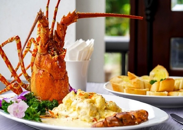 Biển Vân Đồn còn chinh phục du khách bằng 