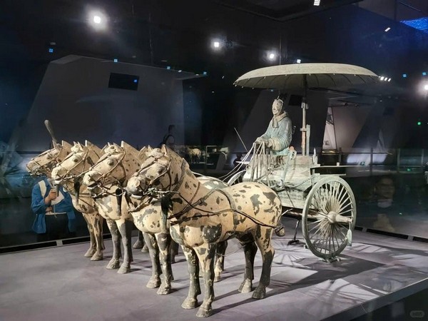 Bảo tàng xe ngựa bằng đồng: Kiệt tác 2000 năm của Tần Thủy Hoàng