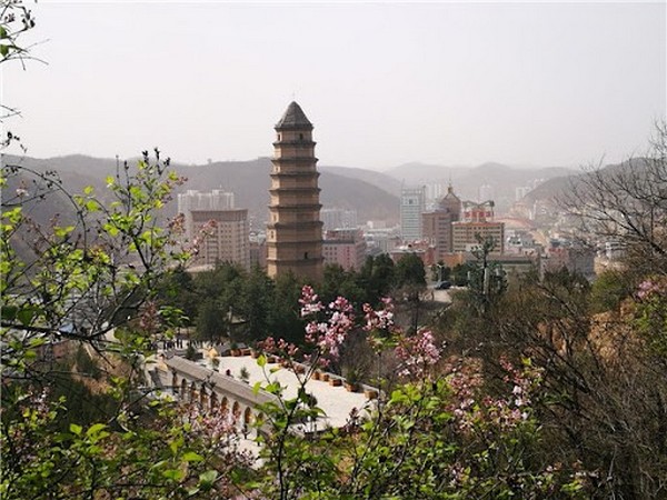 Kim Lien Travel đã thiết kế tỉ mỉ nhiều gói tour du lịch tới Bảo Tháp Sơn