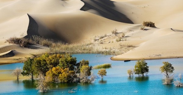 Khám Phá Bồn Địa Tarim: Báu Vật Vùng Nam Tân Cương