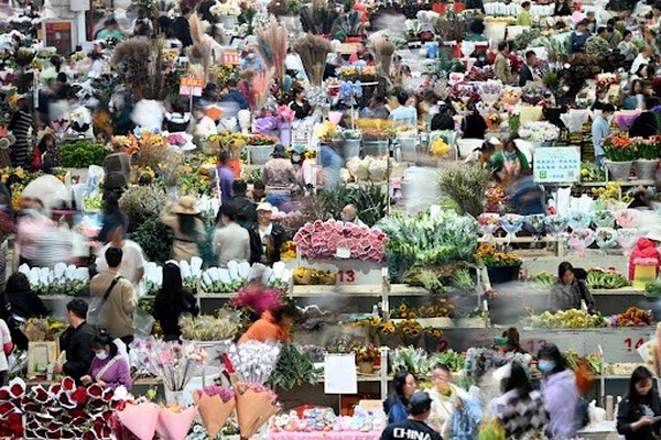 Chợ Hoa Gia Minh là