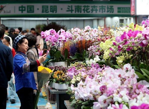 Quy mô của Chợ Hoa Gia Minh thực sự ấn tượng