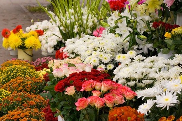 Bên cạnh hoa hồng, Chợ Hoa Gia Minh có muôn vàn loài hoa tươi khác