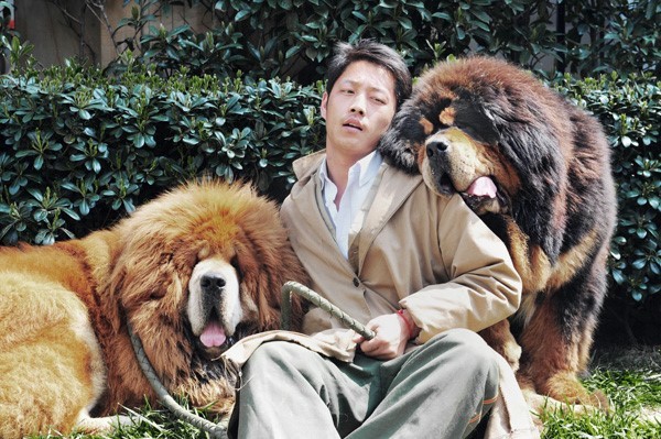 Điểm nhấn nổi bật nhất chính là bộ lông dày hai lớp