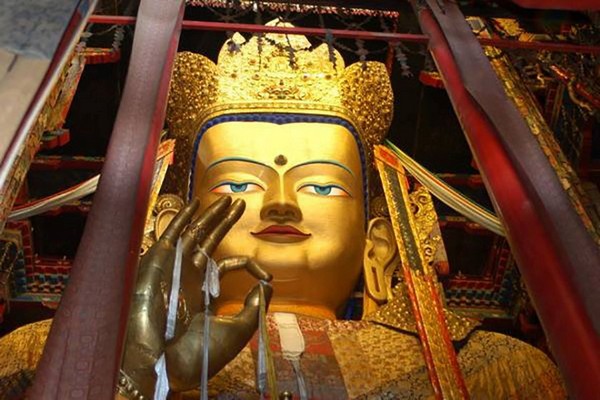 Sự kết hợp hài hòa, độc đáo