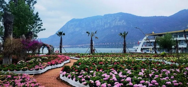 Công viên Hải Cảnh được thành lập và chính thức đi vào hoạt động từ năm 1992