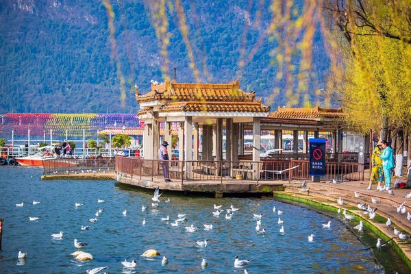 Công viên Hải Cảnh thành nơi thường xuyên tổ chức các sự kiện văn hóa, thể thao