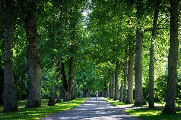Công viên ôm trọn các thành phố Solna, Stockholm và Lidingö