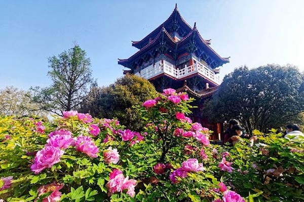 Công Viên Vương Thành - Trải Nghiệm Văn Hóa Cố Đô Lạc Dương Tuyệt Vời