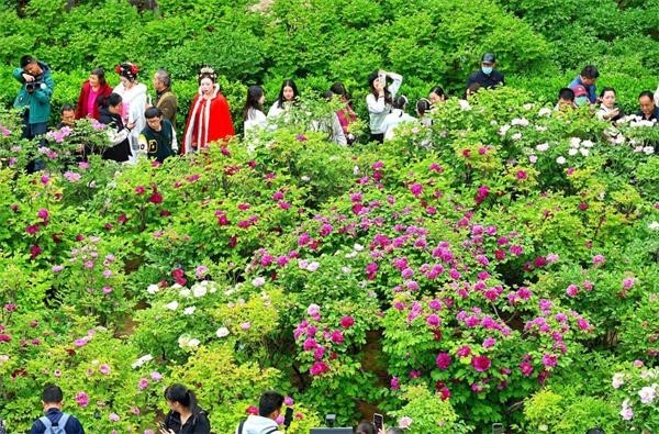 Hãy ưu tiên ghé thăm vào buổi sáng sớm