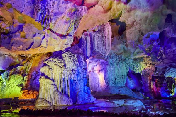 Khu vực bao quanh Động Y Lĩnh Nham sở hữu một hệ sinh thái phong phú với đa dạng