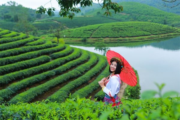 Khám phá trọn bộ kinh nghiệm du lịch Thái Nguyên chuẩn không cần chỉnh