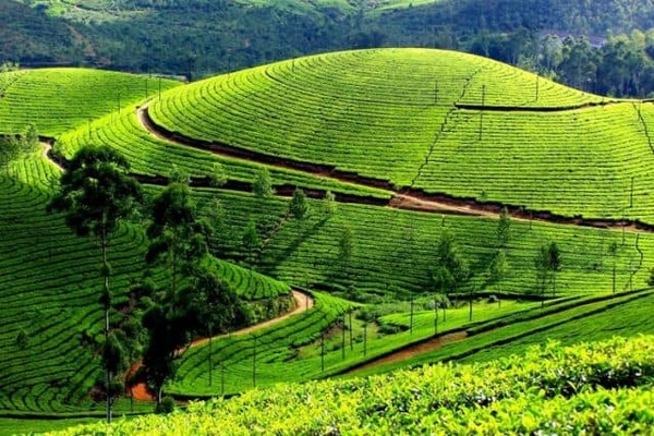 Thái Nguyên được thiên nhiên ưu ái ban tặng khí hậu ôn hòa
