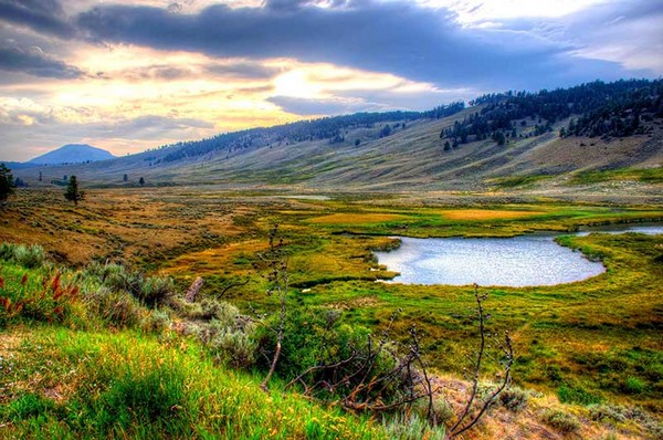 Công viên Quốc gia Yellowstone - Du lịch Bắc Mỹ