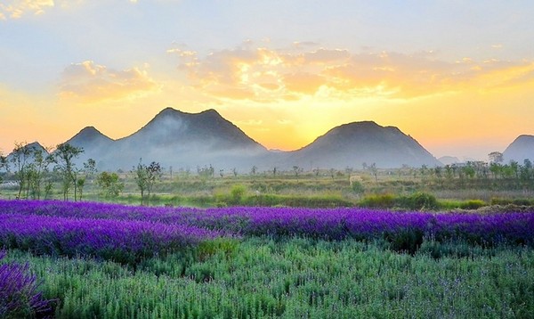 Du lịch Bình Bá