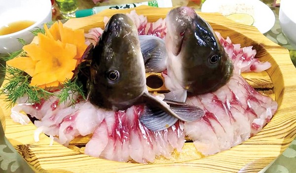 Bạn có thể tự tay lựa chọn những chú cá tươi rói và yêu cầu nhà hàng chế biến