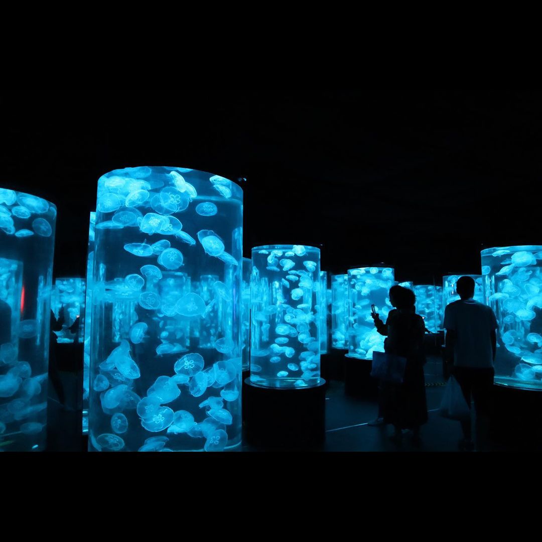 Du lịch Liêu Ninh Trung Quốc 