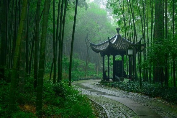 Đường tre Yunqi là một trong những thắng cảnh nổi bật nhất Trung Quốc