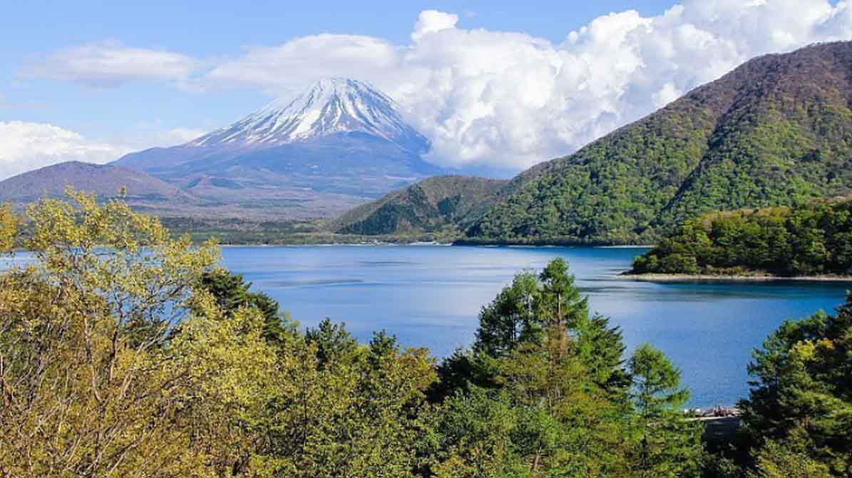 Hồ Motosuko - nằm tại phía Tây núi Phú Sỹ là một điểm tham quan thưởng hoa xuất sắc