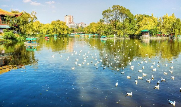 Hồ Thúy Hồ tọa lạc kiêu hãnh tại trung tâm thành phố Côn Minh