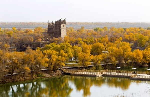 Đảo Dương Vàng là một viên ngọc quý nằm trên đồng bằng phù sa sông Kashgar