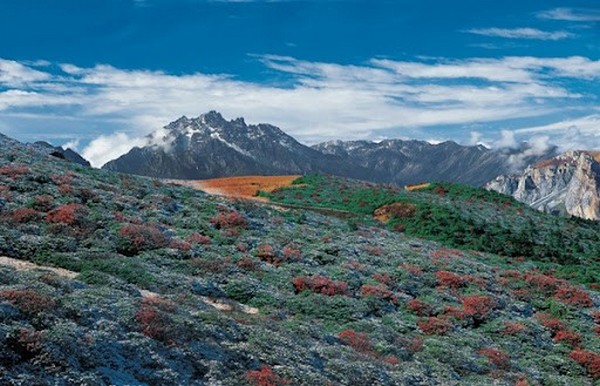 Huyện Mậu sở hữu khí hậu gió mùa cao nguyên